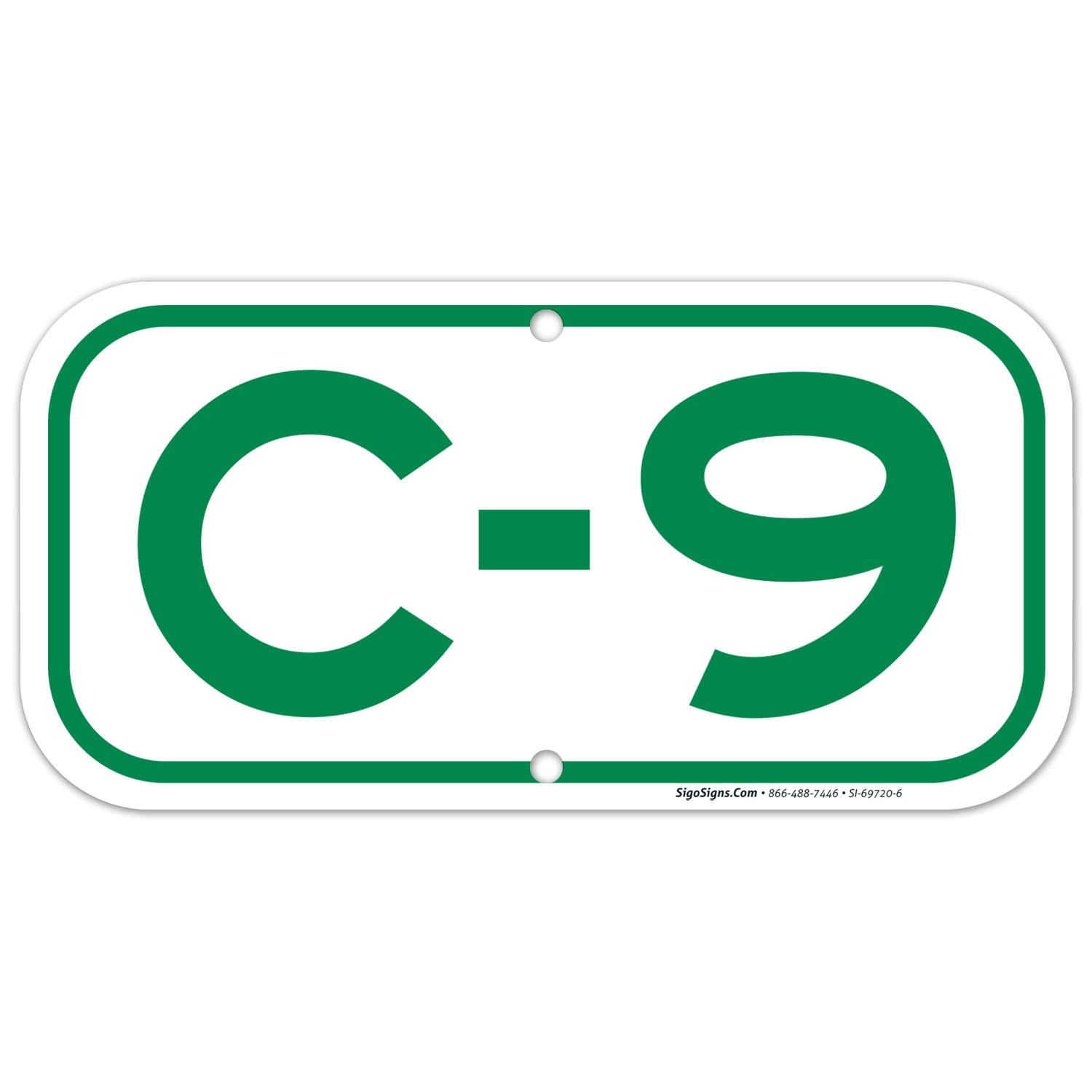 RV (Class A-C) C9